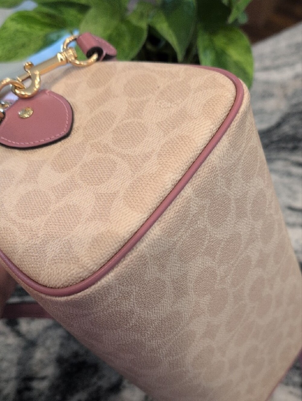 Coach Rowan Signature Canvas Satchel with Heart Charm - Picture 6 of 10